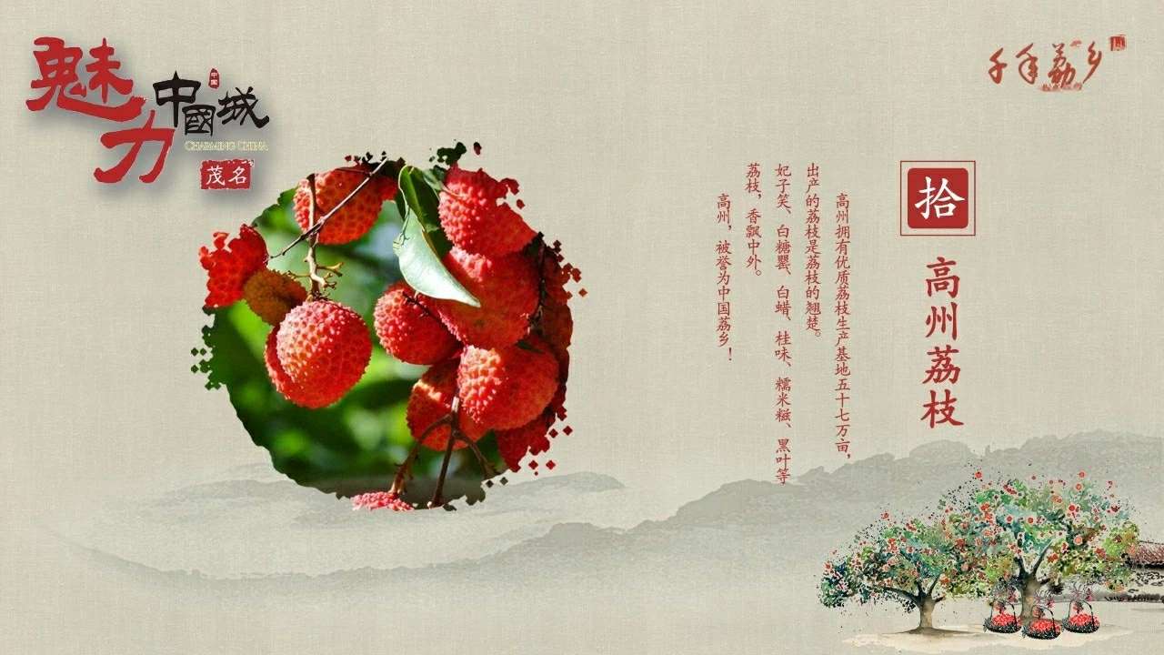 2018茂名高州荔枝文化节宣传ppt