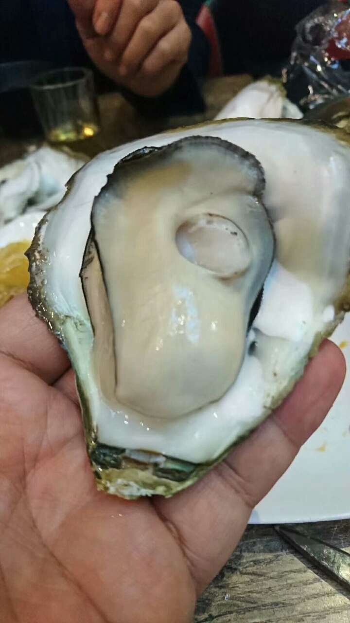 长期供应,海鲜干货,冰箱海鲜.