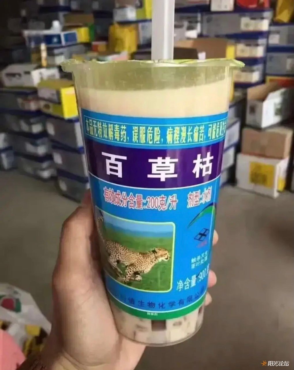   饮奶茶吗