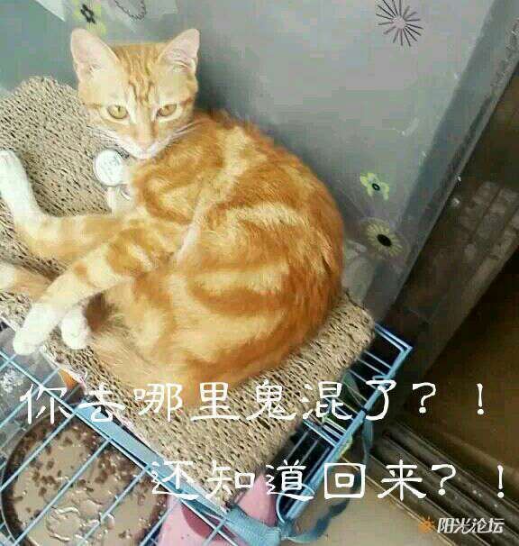 今晚又是鬼混到现在才回来