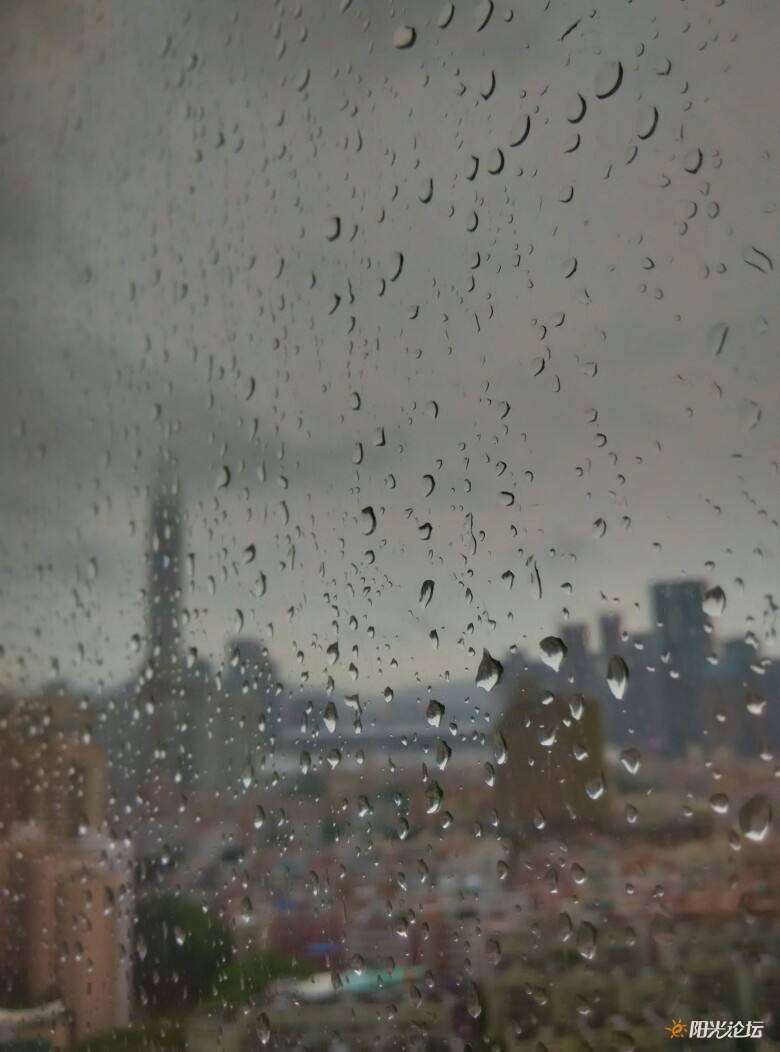 下雨天总会让人胡思乱想